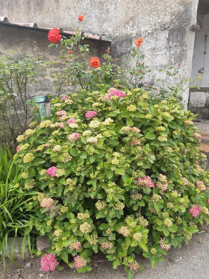 Au Bocage Parfume Gite La Cigaline Wirwignes ภายนอก รูปภาพ